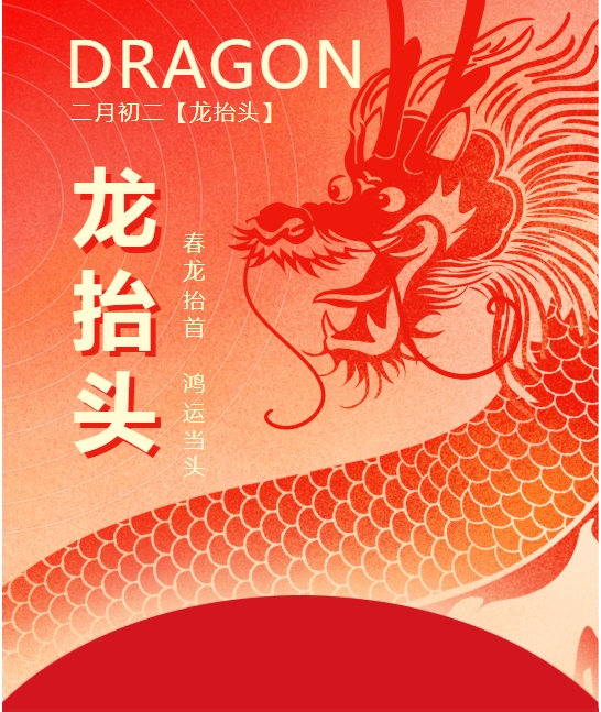 二月二龍?zhí)ь^，春龍振翅鴻運(yùn)啟 —— 佳木斯網(wǎng)云信息科技有限公司與您共迎新春盛景